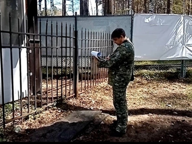 Подробнее о статье Стало известно о последнем предложении погибшей на штыре ограды бара девушки