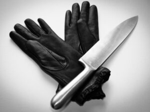 Подробнее о статье Зарезанная студентка погибла из-за «кошачьего» конфликта с соседом