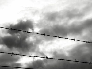 Подробнее о статье ČJ: в Чехии учительницу осудили за слова об Украине