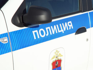 Подробнее о статье Двое подростков найдены мертвыми в Подмосковье