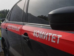 Подробнее о статье Мигрант-таксист избил россиянина за отказ доплатить за пробки