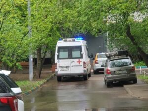 Подробнее о статье Москвич получил сильнейшие химические ожоги, спрятавшись от дождя в кустах