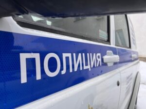 Подробнее о статье Неизвестный водитель расстрелял несколько собак в российском регионе
