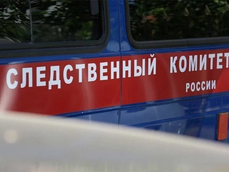 Подробнее о статье В российском регионе ребенок погиб от удара током