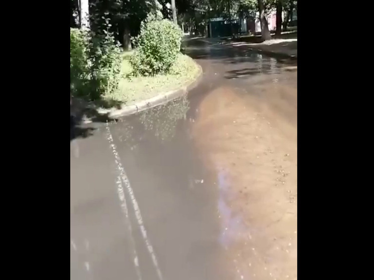 Подробнее о статье Фекальными водами затопило несколько улиц подмосковного Королева