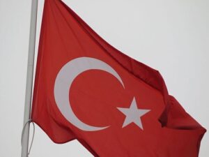 Подробнее о статье Российско-турецкая АЭС окружена лесными пожарами