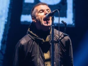 Подробнее о статье На концерте всемирно известной культовой группы насмерть разбился поклонник