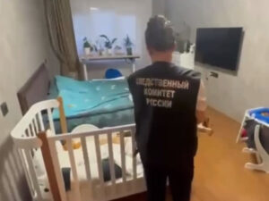 Подробнее о статье Обезумевшая мать убила ребенка и себя в Петербурге