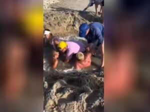 Подробнее о статье Двух детей засосало песочной ловушкой на пляже