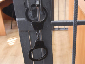 Подробнее о статье Двух наркозакладчиц поймали в подмосковном лесу