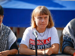 Подробнее о статье Флотилия с Гретой Тунберг была атакована дронами по пути в Газу