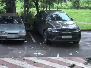 Подробнее о статье Жители дома на северо-востоке столицы выбрасывают из окон удавов и тараканов