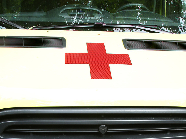 Подробнее о статье 31-летний мужчина умер после укуса мухи