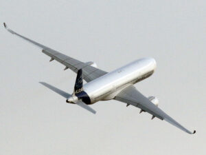 Подробнее о статье Аварийная посадка самолета закончилась уголовным делом: использовался не тот вазелин