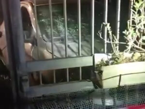 Подробнее о статье Автомобиль известного журналиста взлетел на воздух в столице