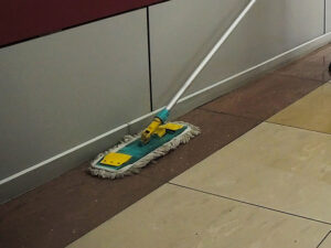 Подробнее о статье Душевнобольная уборщица рвалась к Путину, чтобы отправить в Америку  научные труды