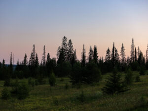 Подробнее о статье «Криминальную версию не исключаем»: в СК рассказали о расследовании дела Усольцевых