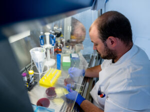 Подробнее о статье Отравившийся шаурмой москвич взыскал компенсацию с магазина здорового питания