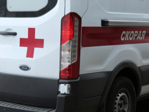 Подробнее о статье Пенсионерка из Подмосковья укололась ядовитым скатом при готовке