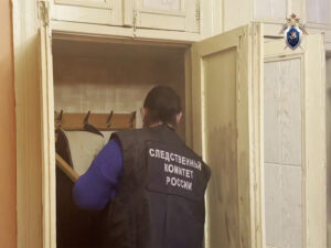 Подробнее о статье Серийный убийца из Подмосковья был разоблачен после кражи сумки с продуктами