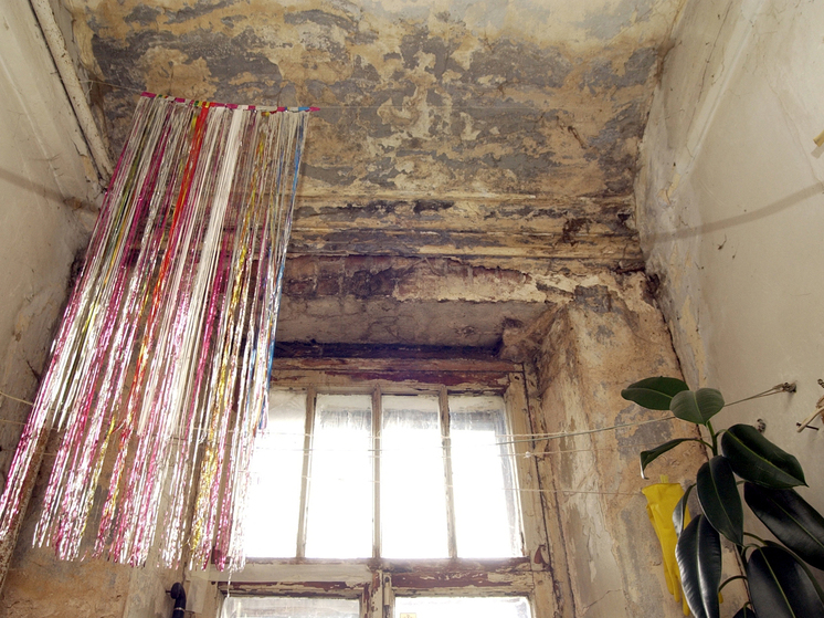 Подробнее о статье Смерть мальчика от черной плесени изменила законодательство о социальном жилье