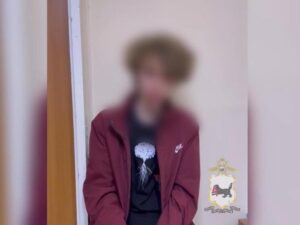 Подробнее о статье Стали известны подробности допроса подростка, который зарезал двух девушек под Иркутском