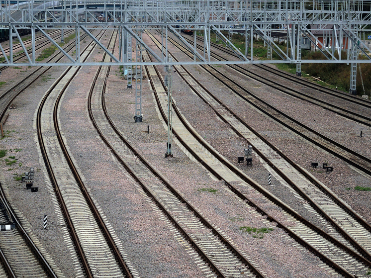 Подробнее о статье «Своих не сдают»: бывшие зацеперы выдвинули версии пропажи подростка из Лобни