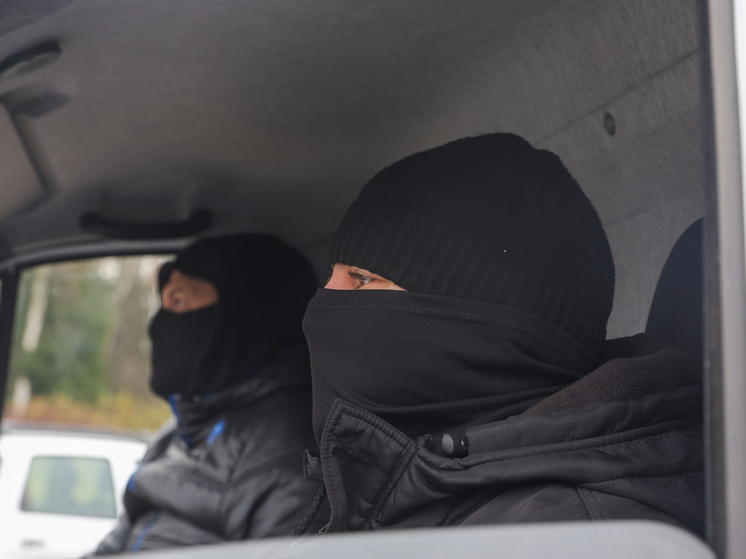 Подробнее о статье В Московской области задержали грабителей с миллионами