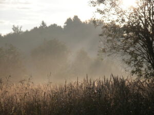 Подробнее о статье Версии исчезновения семьи Усольцевых в Красноярском крае стали более странными