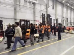 Подробнее о статье Выяснилось, кого поймали в ходе подмосковного рейда против мигрантов