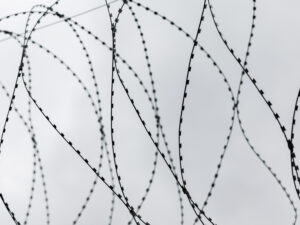 Подробнее о статье Адвокаты известного блогера обжаловали «чрезмерно строгий» приговор