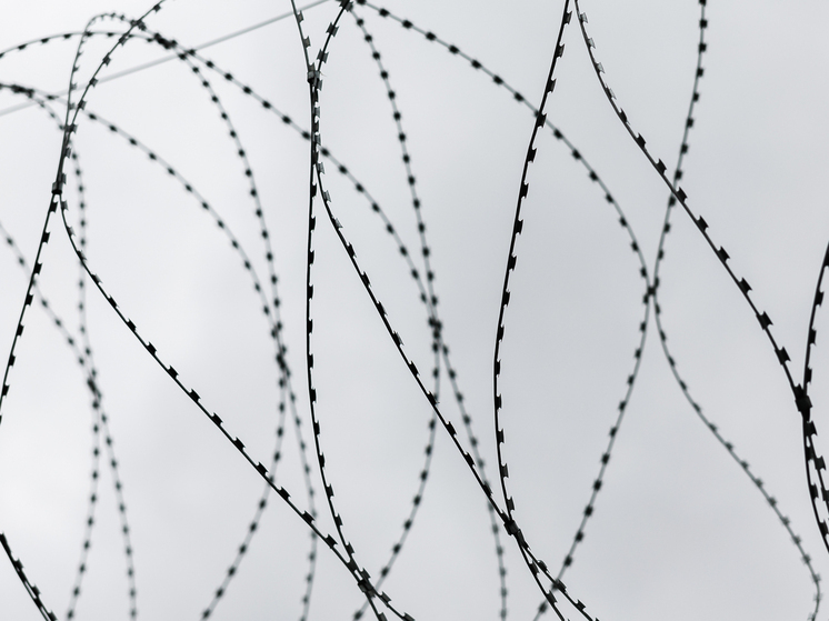 Подробнее о статье Адвокаты известного блогера обжаловали «чрезмерно строгий» приговор