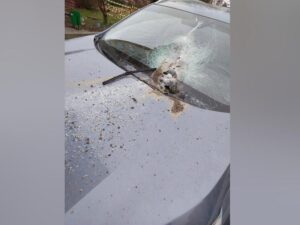 Подробнее о статье Автовладельцы, чьи машины пострадали при сносе «Снежкома», рассказали о случившемся