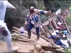 Подробнее о статье Деревянный мост за $2 млн рухнул в первый же день