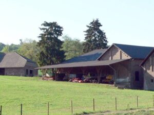 Подробнее о статье «Ферма-призрак» в Крыму оставила десятки вкладчиков без денег