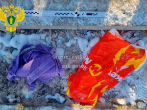 Подробнее о статье Голову ребенка нашли в пруду во время реконструкции