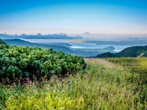 Подробнее о статье На Дальнем Востоке за пять минут зафиксировали сразу два землетрясения