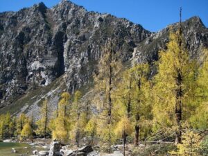 Подробнее о статье Названы подробности обрушения нового моста в Китае