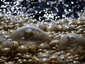 Подробнее о статье Не исключена диверсия: в США предположили причину утечки аммиака в Миссисипи