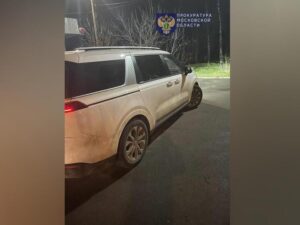 Подробнее о статье Сбившая насмерть 2-летнюю дочь жительница Подмосковья забыла посадить ее в машину