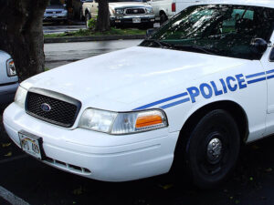 Подробнее о статье Тело девочки-подростка обнаружили в фургоне на заднем дворе дома