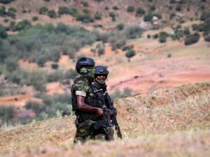 Подробнее о статье Террористы похитили несколько десятков девочек из школы-интерната