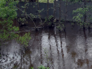 Подробнее о статье Туристы с детьми из РФ оказались в шаге от смерти на мосту во Вьетнаме