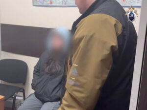 Подробнее о статье Убийца ребенка призналась, что сама выбросила голову в пруд