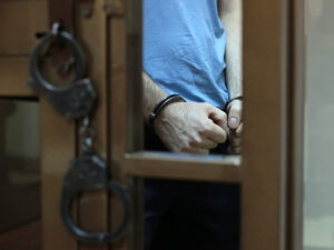 Подробнее о статье Убийца шиншилл получил 1,5 года исправительных работ