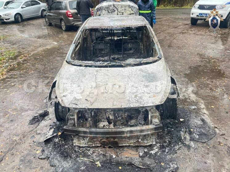 Подробнее о статье Участница убийства с сожжением трупа была гособвинителем на громких процессах