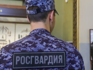 Подробнее о статье В Подмосковье голые супруги устроили драку на дороге из-за ревности