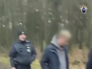 Подробнее о статье В Подмосковье задержан подозреваемый в убийстве двух женщин