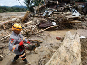 Подробнее о статье Число погибших в результате наводнения в азиатской стране превысило 700 человек