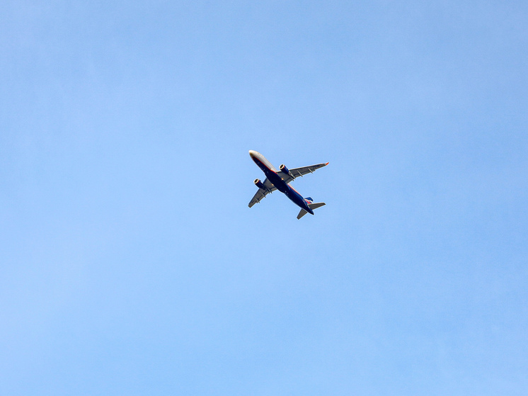 Подробнее о статье Экс-гонщик погиб в авиакатастрофе вместе с женой и маленьким сыном